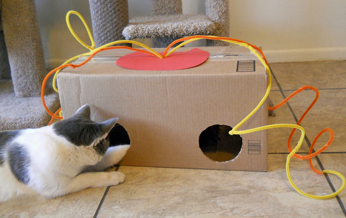 diy-cat-toy-box