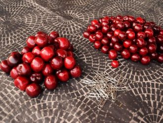 pit-cherries-novate2
