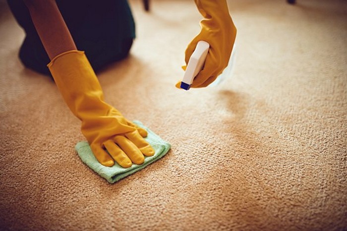 Close-up image of woman removing stain from the carpet